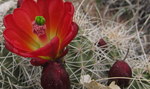 photo thumbnail #10
