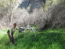 photo thumbnail #2