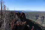 photo thumbnail #3