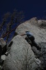 photo thumbnail #7
