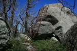 photo thumbnail #9