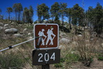 photo thumbnail #10
