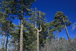 photo thumbnail #13