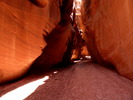 photo thumbnail #12
