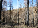 photo thumbnail #14