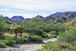 photo thumbnail #1