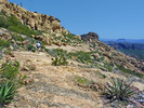 photo thumbnail #3