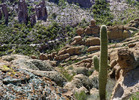 photo thumbnail #6