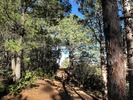 photo thumbnail #4