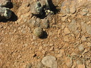 photo thumbnail #15