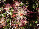 Featured Detail Photo