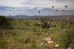 photo thumbnail #2