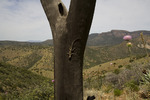 photo thumbnail #5