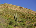 photo thumbnail #1