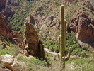 photo thumbnail #8