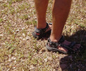 photo thumbnail #10