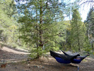 photo thumbnail #5
