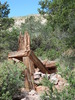 photo thumbnail #4