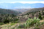 photo thumbnail #12