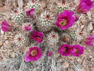 photo thumbnail #14
