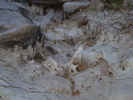 photo thumbnail #15