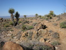 photo thumbnail #2