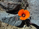 photo thumbnail #11