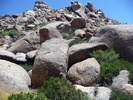 photo thumbnail #14