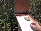 photo thumbnail #6