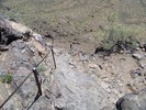 photo thumbnail #15