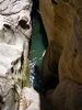 photo thumbnail #13