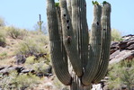 photo thumbnail #1