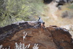 photo thumbnail #3
