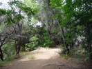 photo thumbnail #2
