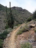 photo thumbnail #7