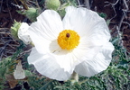 photo thumbnail #14