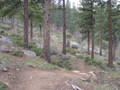 photo thumbnail #1