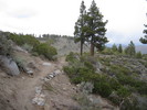 photo thumbnail #9