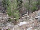 photo thumbnail #10