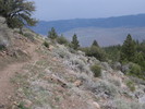 photo thumbnail #11