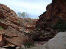 photo thumbnail #8