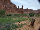 photo thumbnail #10