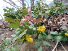 photo thumbnail #3
