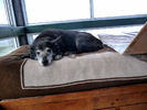 photo thumbnail #4