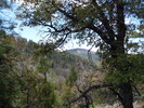 photo thumbnail #12