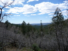 photo thumbnail #4