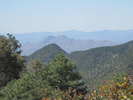 recent photo