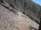 photo thumbnail #7