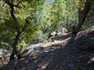 photo thumbnail #11