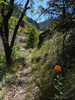 photo thumbnail #14